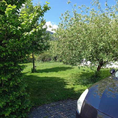 Flores, Ferienhaus Oder Doppelzimmer, Im Gruenen, 5 Gehminuten Ins Zentrum, Parkplatz, Zero Emissions Bad Ischl Εξωτερικό φωτογραφία