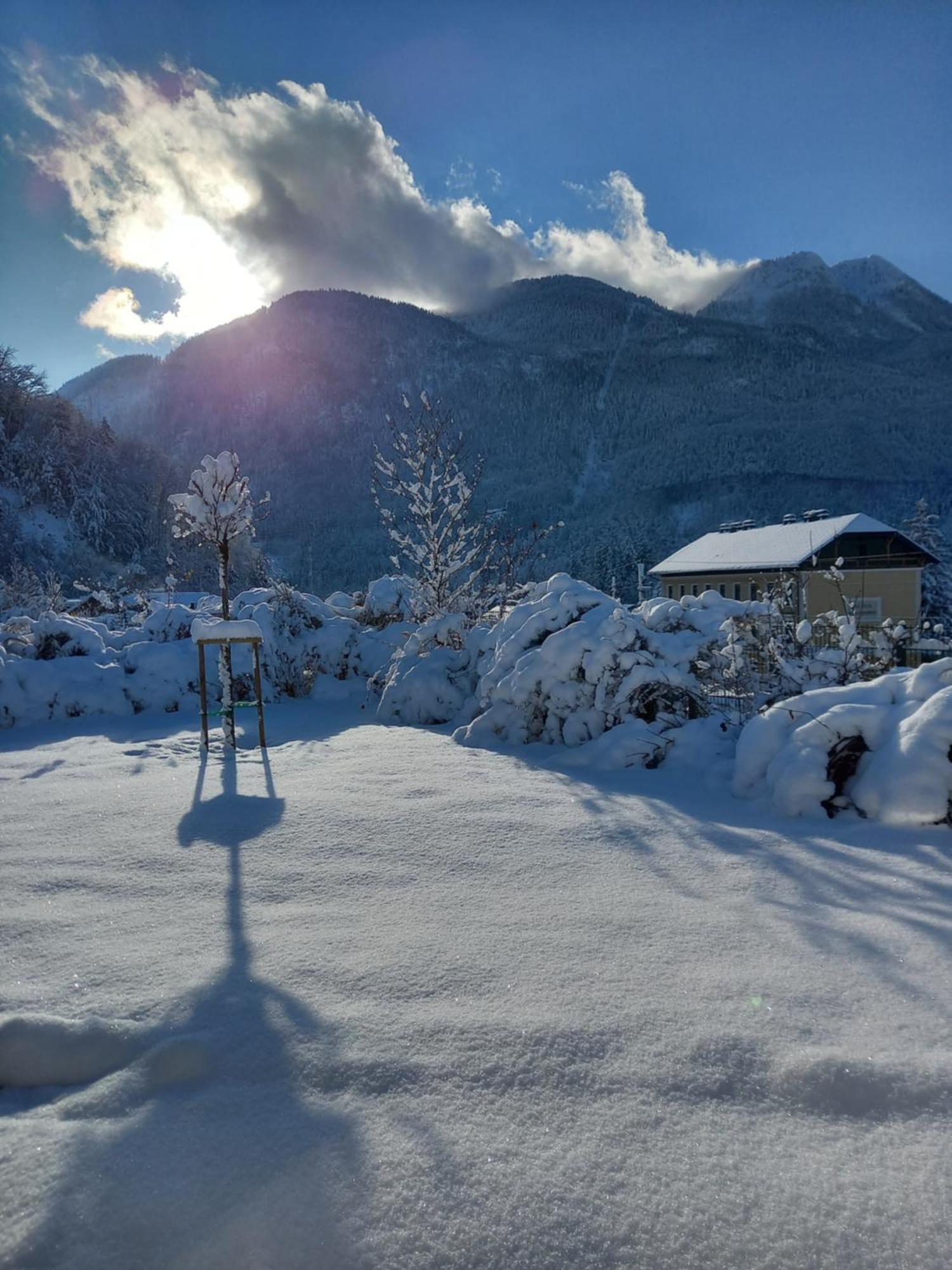 Flores, Ferienhaus Oder Doppelzimmer, Im Gruenen, 5 Gehminuten Ins Zentrum, Parkplatz, Zero Emissions Bad Ischl Εξωτερικό φωτογραφία