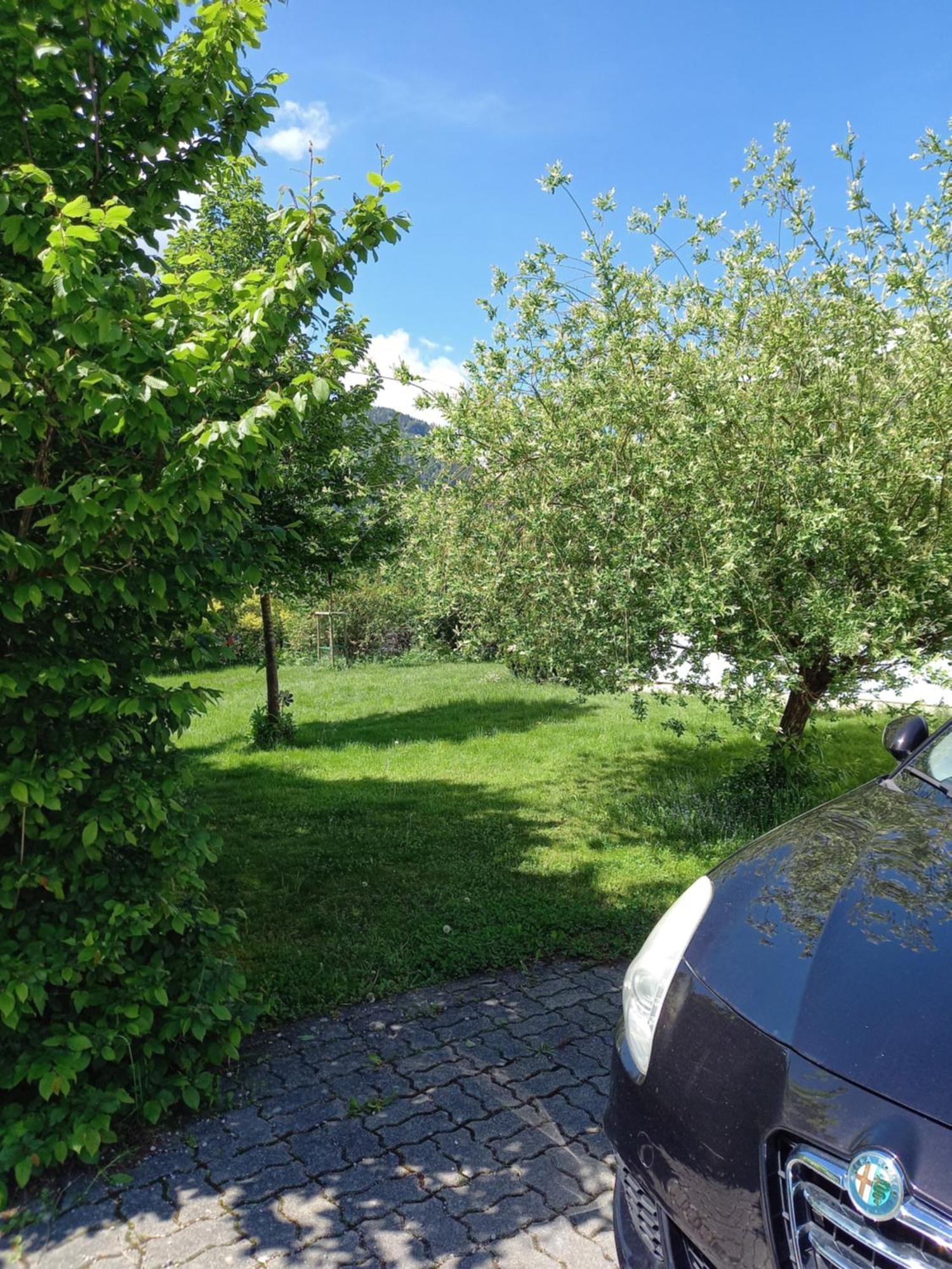 Flores, Ferienhaus Oder Doppelzimmer, Im Gruenen, 5 Gehminuten Ins Zentrum, Parkplatz, Zero Emissions Bad Ischl Εξωτερικό φωτογραφία