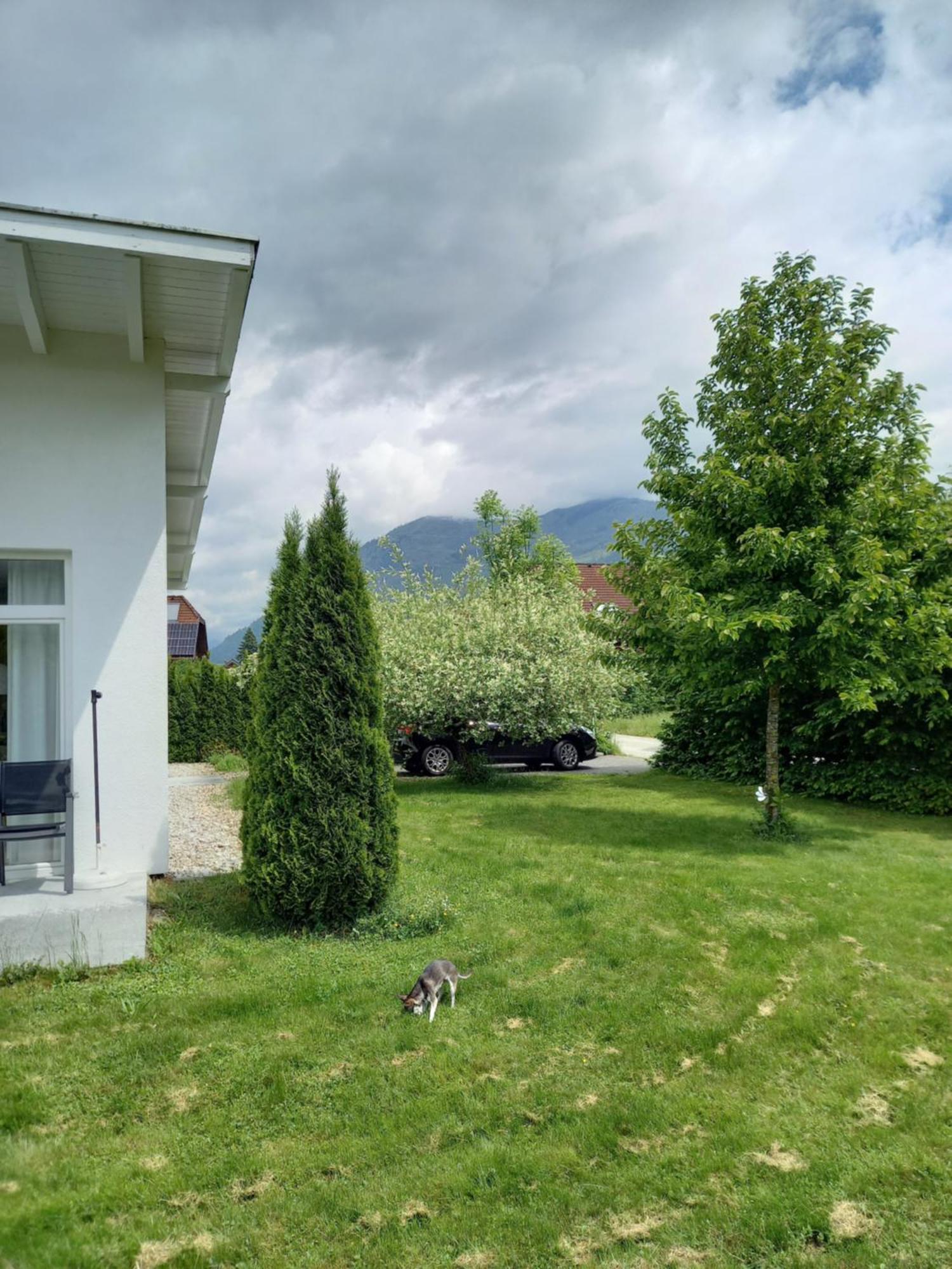 Flores, Ferienhaus Oder Doppelzimmer, Im Gruenen, 5 Gehminuten Ins Zentrum, Parkplatz, Zero Emissions Bad Ischl Εξωτερικό φωτογραφία