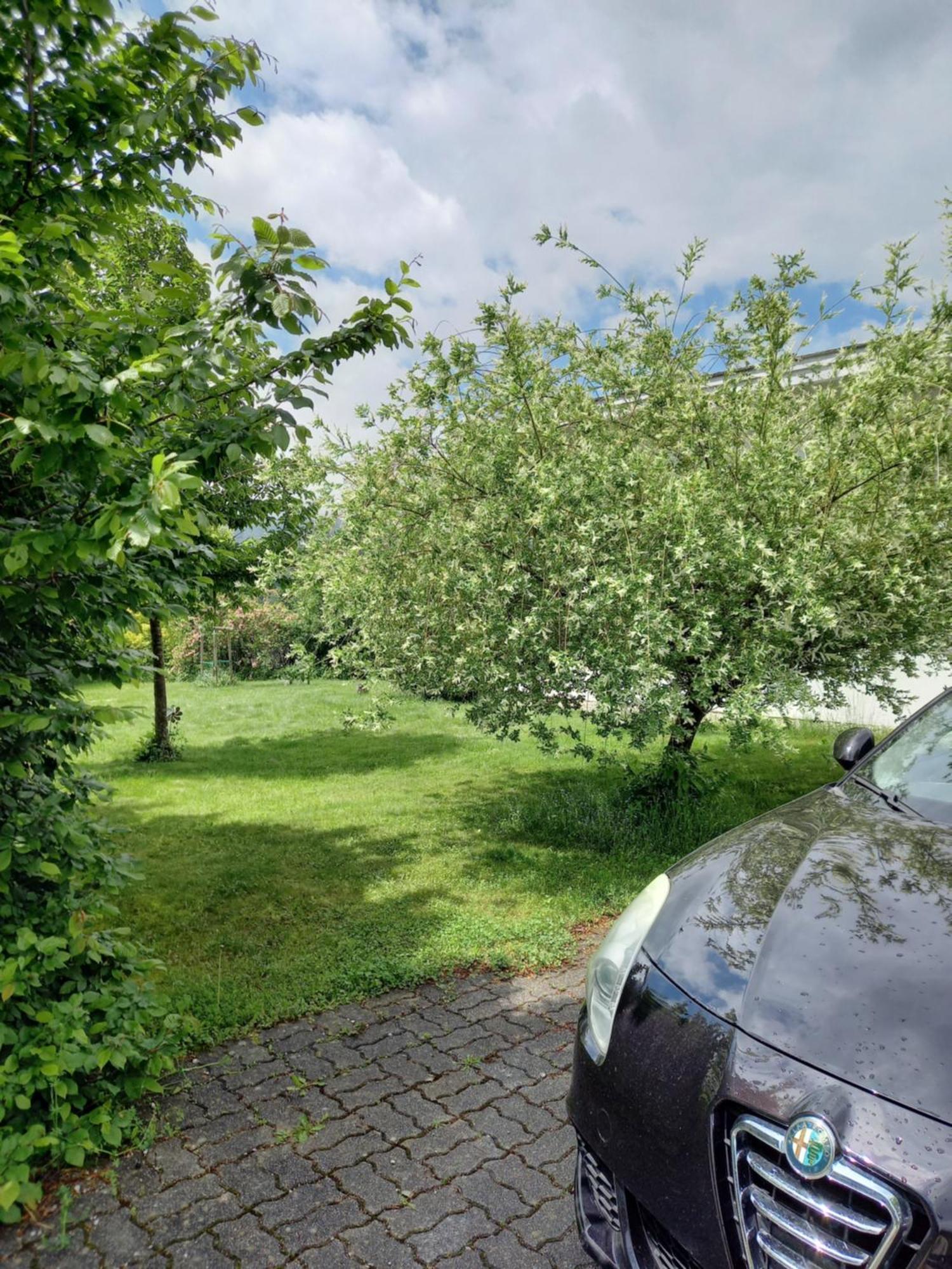 Flores, Ferienhaus Oder Doppelzimmer, Im Gruenen, 5 Gehminuten Ins Zentrum, Parkplatz, Zero Emissions Bad Ischl Εξωτερικό φωτογραφία