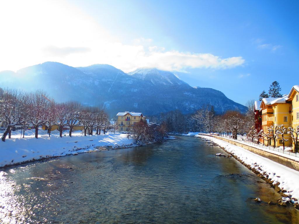 Flores, Ferienhaus Oder Doppelzimmer, Im Gruenen, 5 Gehminuten Ins Zentrum, Parkplatz, Zero Emissions Bad Ischl Εξωτερικό φωτογραφία